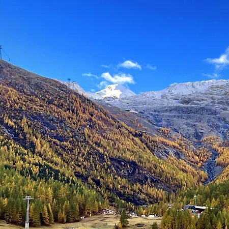 Amsel 1 By Saasfeeholidays Saas Fee